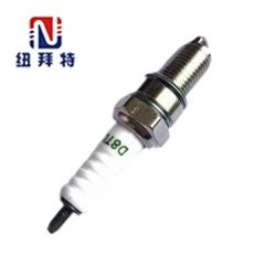 Ignition Plug for Motor